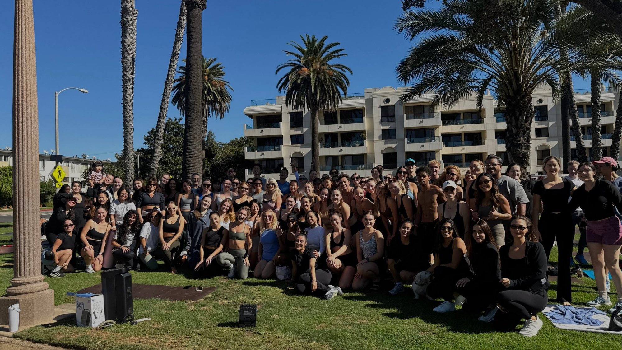 A very large group posing together on the grass in a sunny park lined with palm trees
