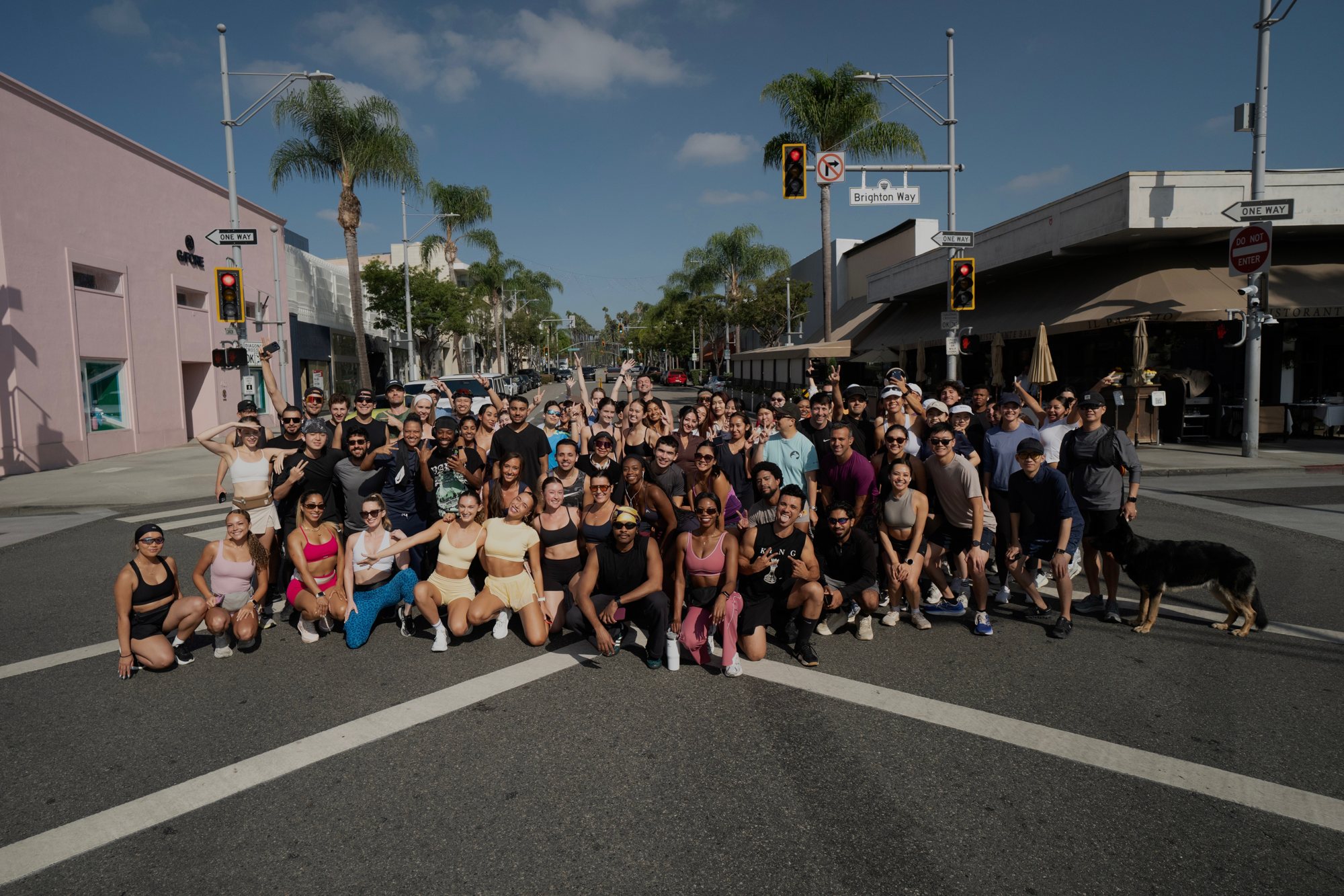 A large group of runners and friends posing together in the middle of a sunny city intersection